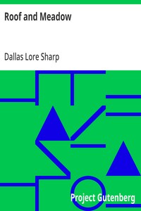 Cover of Roof and Meadow — Text and Context