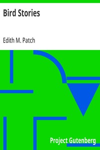 Cover of Bird Stories — Background and Themes