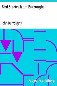 Cover of Bird Stories from Burroughs Sketches of Bird Life Taken from the Works of John Burroughs — Reading Notes