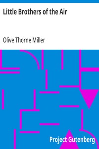 Cover of Little Brothers of the Air — Story, Setting & Ideas