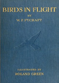 Cover of Birds in Flight — Edition Insights