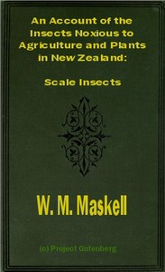 Cover of An Account of the Insects Noxious to Agriculture and Plants in New Zealand The Scale Insects (Coccididae) — Text and Context