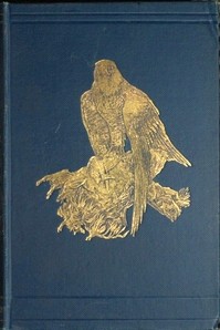 Cover of Tales of the birds — A Closer Reading