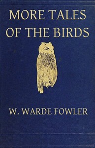 Cover of More Tales of the Birds — Background and Themes
