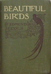 Cover of Beautiful Birds — Background and Themes