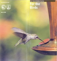 Cover of For the Birds — Story, Setting &...