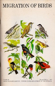 Cover of Migration of Birds (1979) — Text...